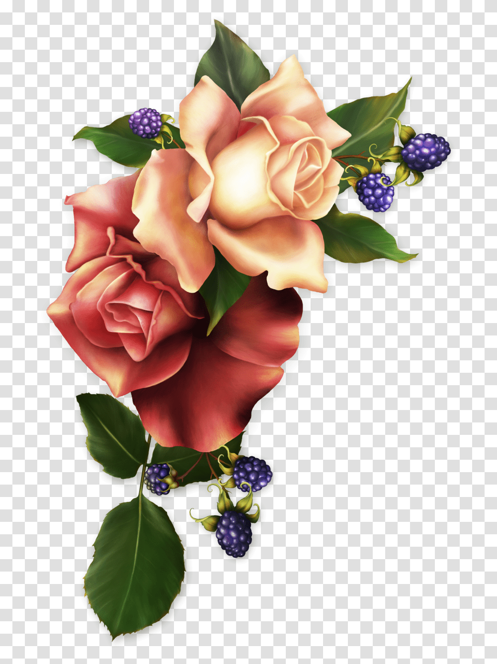 Pin By Pixel Craft Frases Com Flores De Bom Dia Da Biblia, Plant, Flower, Blossom, Person Transparent Png