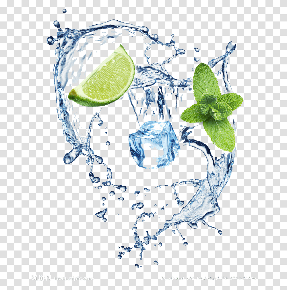 Pin By Pngsector Ice And Water, Plant, Citrus Fruit, Food, Lime Transparent Png