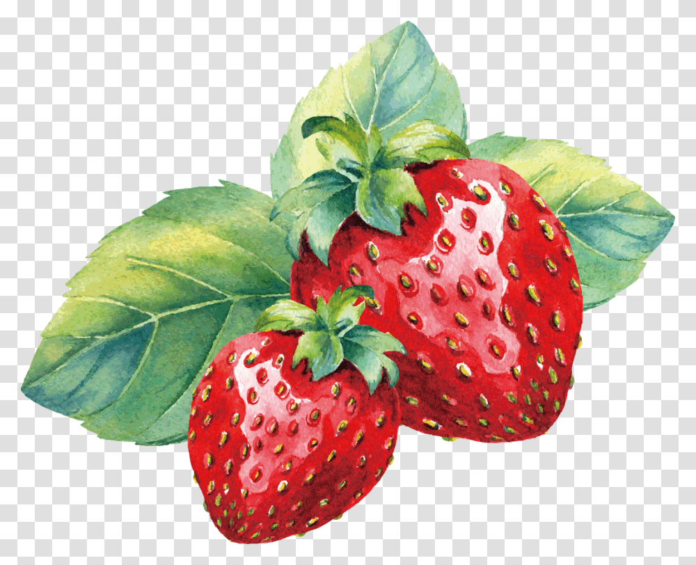Pin By Pngsector On Strawberry Image Amp Strawberry Watercolor Strawberry, Fruit, Plant, Food, Leaf Transparent Png