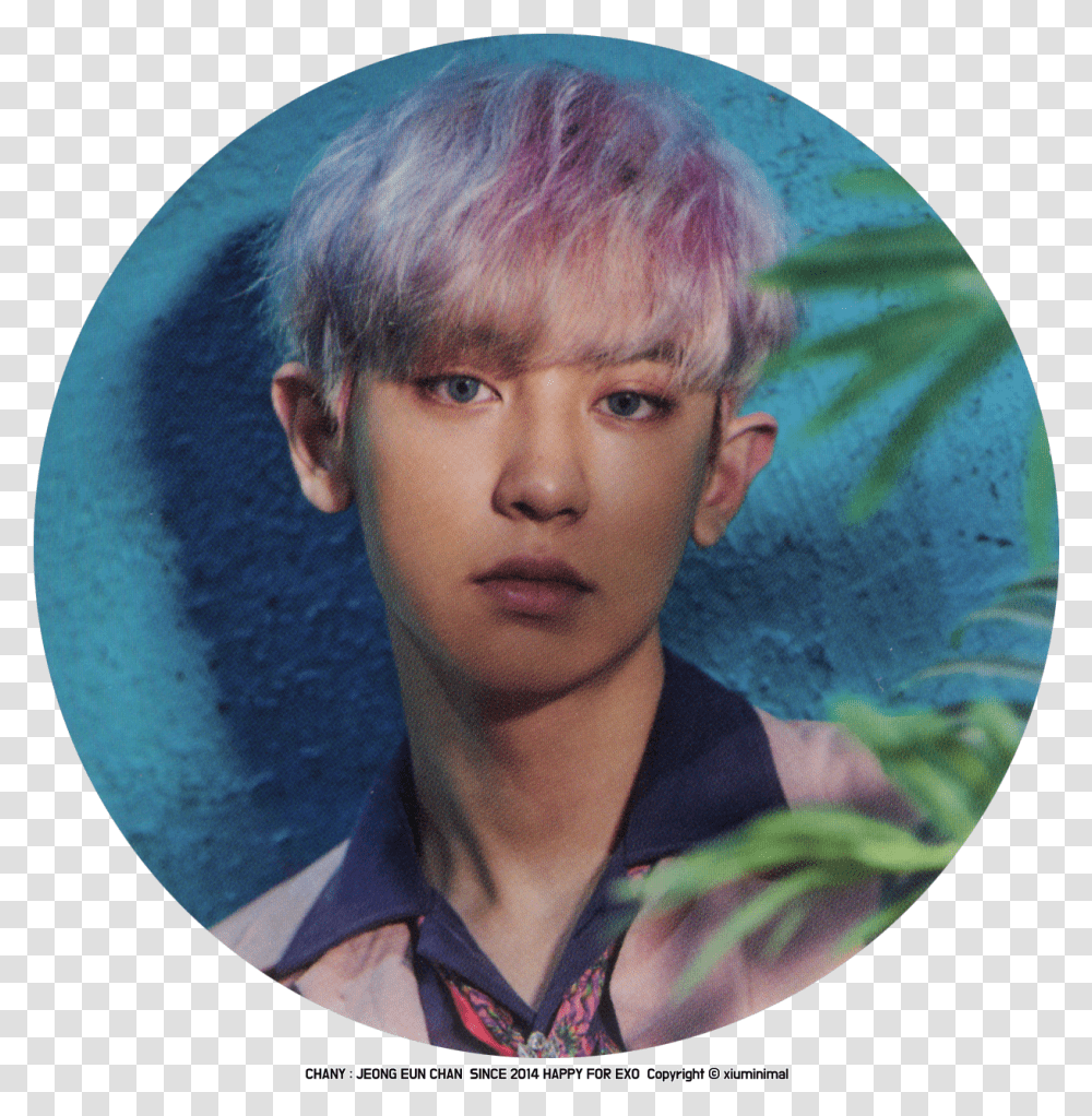 Pin Chanyeol Icon, Face, Person, Head, Female Transparent Png