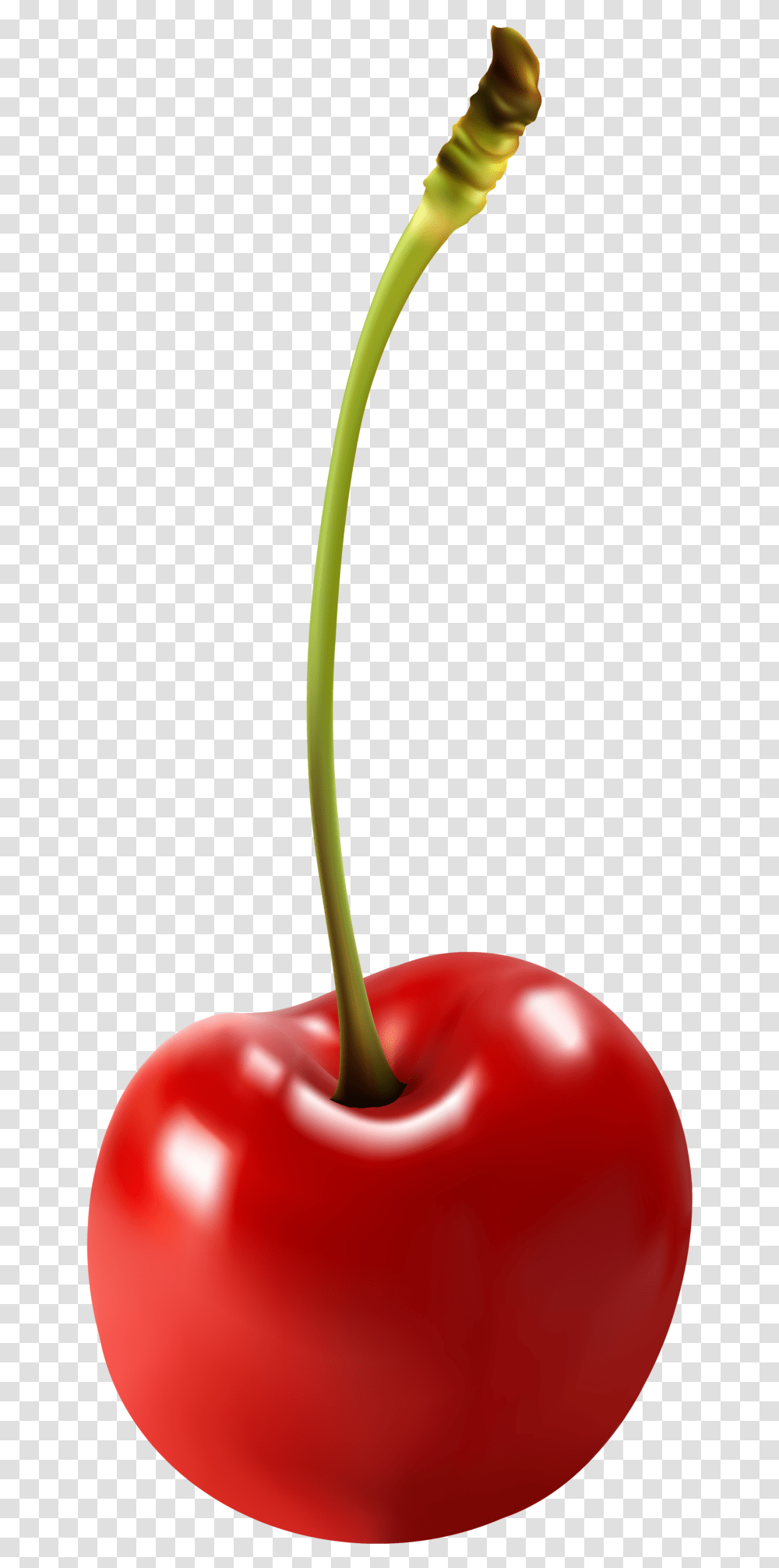 Pin Cherry Clipart Transparen Clip Art Cherry, Plant, Fruit, Food Transparent Png