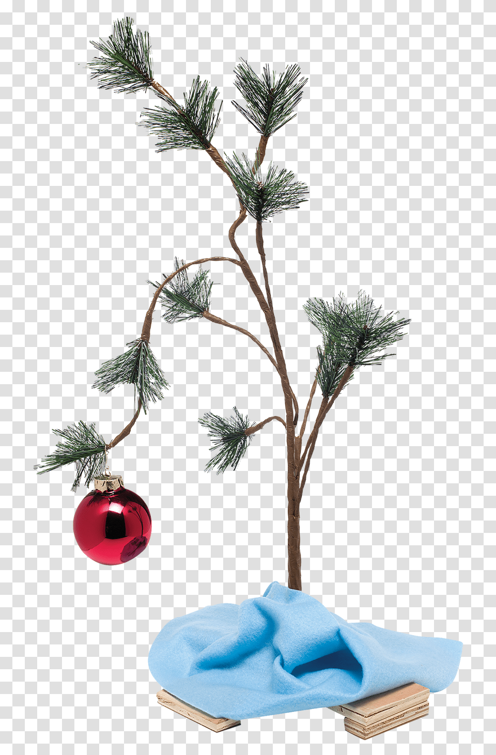 Pin Christmas Day, Tree, Plant, Potted Plant, Vase Transparent Png