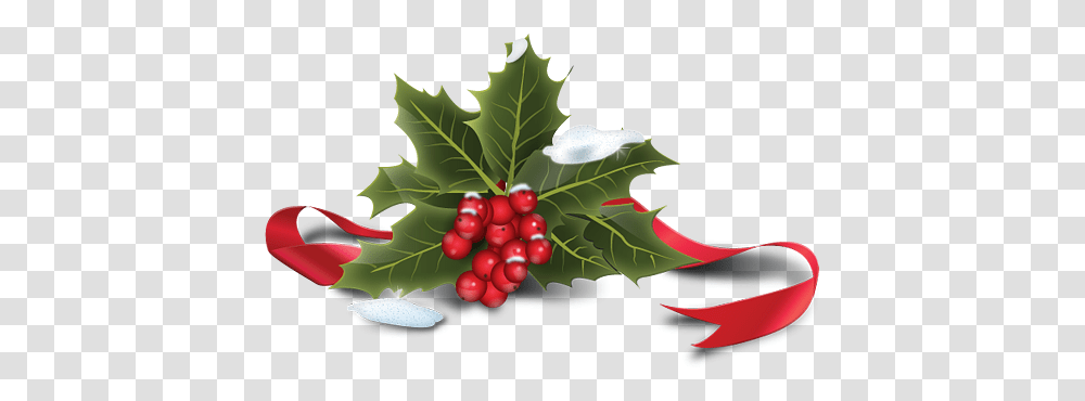 Pin Christmas Holly, Plant, Leaf, Fruit, Food Transparent Png
