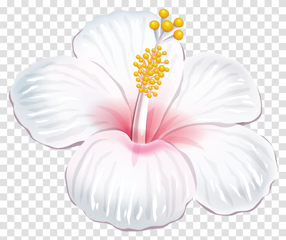 Pin De Luluk Purwantono Em Gambar Bunga Imagem Floral Moana Flores Hawaianas, Plant, Hibiscus, Flower, Blossom Transparent Png