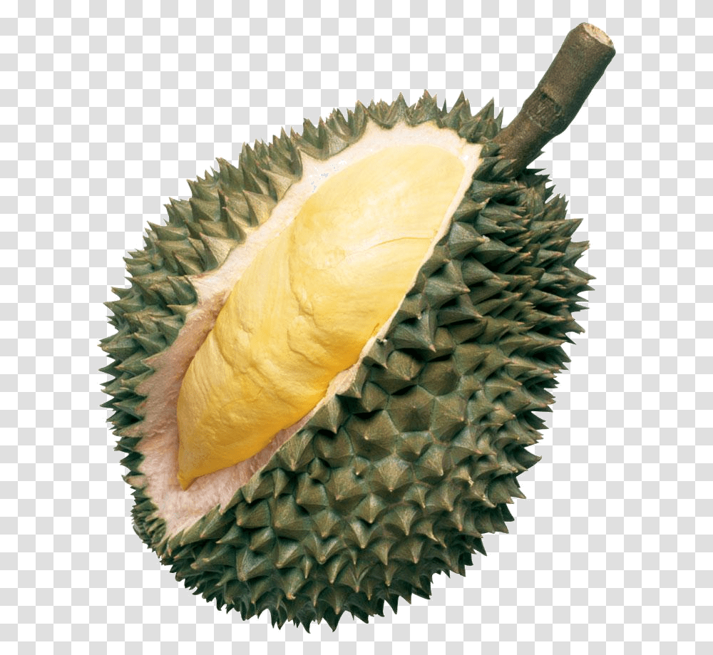 Pin Durian, Fruit, Produce, Plant, Food Transparent Png