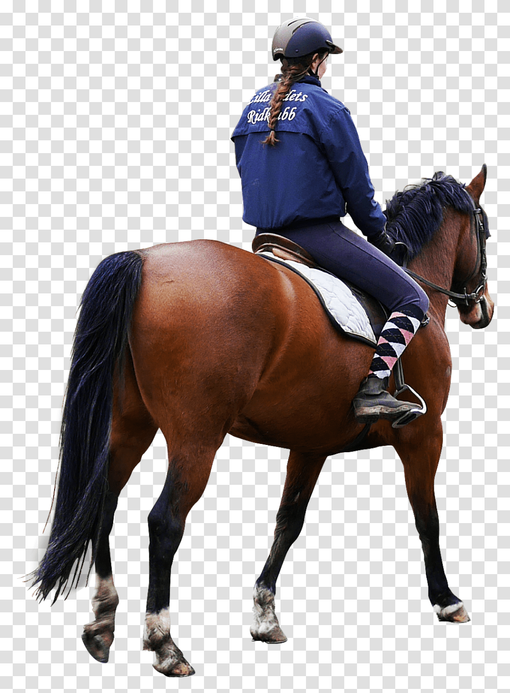 Pin Horse Rider, Mammal, Animal, Person, Human Transparent Png