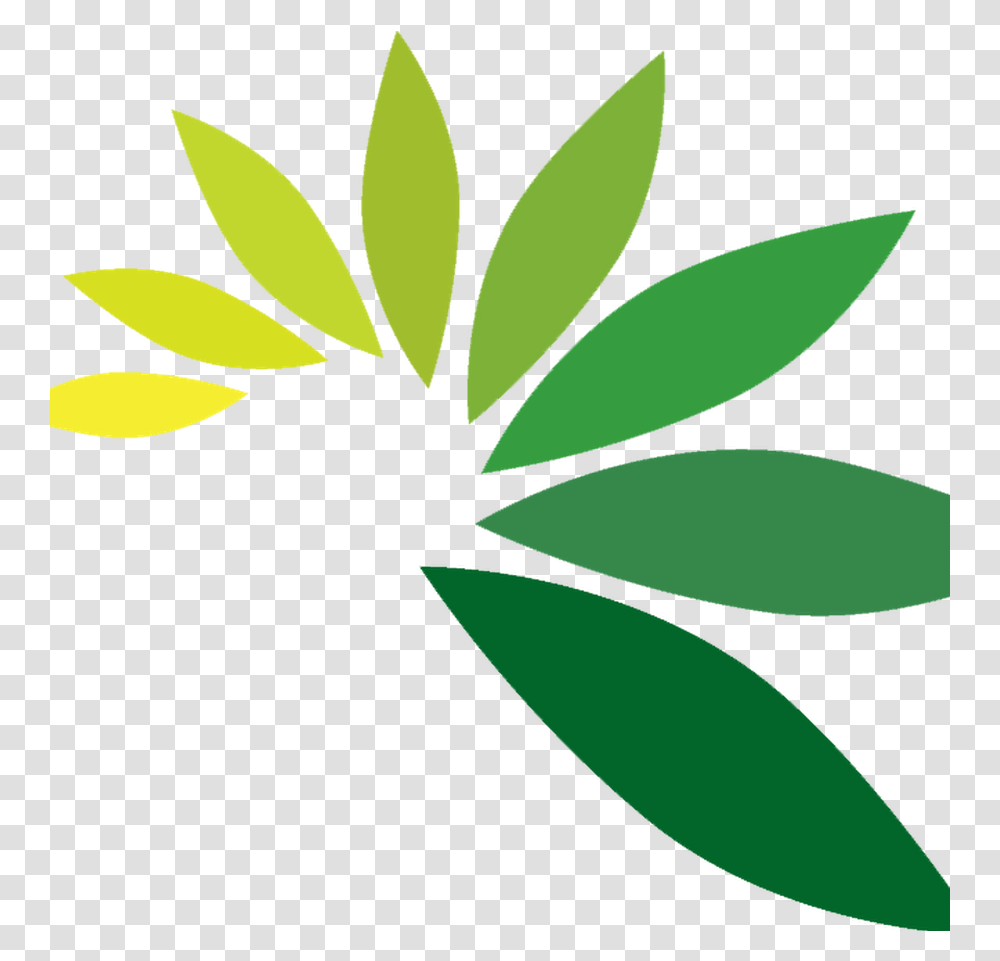 Pin Leaf Logo Hd, Plant, Green, Symbol, Aloe Transparent Png