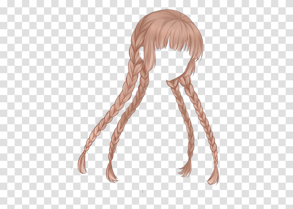 Pin Long Hair Anime Hairstyles, Bird, Animal, Person, Head Transparent Png