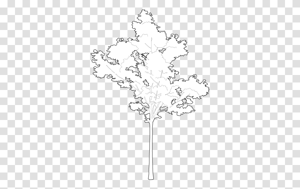 Pin Maple Tree Cad Block, Diagram, Plot, Atlas, Stencil Transparent Png