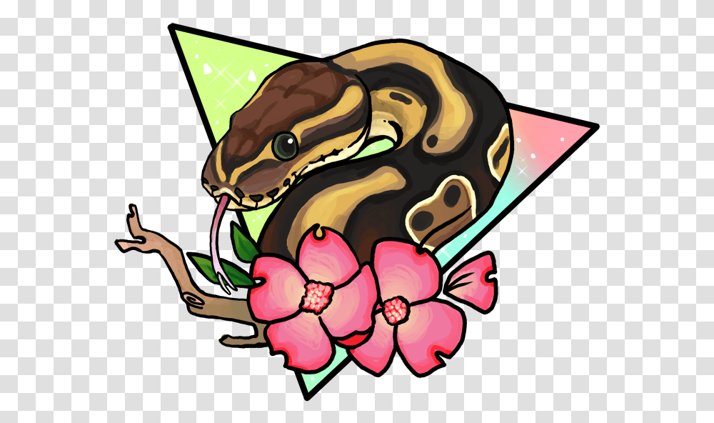 Pin Ni Firetear Vefox Sa Herps And Inverts Ball Python Clip Art, Apparel, Plant Transparent Png