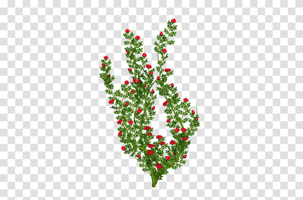 Pin Od Berezowska Na Mix Clip Art Pot, Plant, Flower, Leaf, Acanthaceae Transparent Png