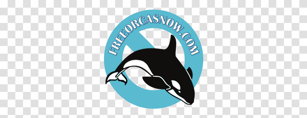 Pin Orca Whale Clipart Black And White, Animal, Sea Life, Mammal, Killer Whale Transparent Png