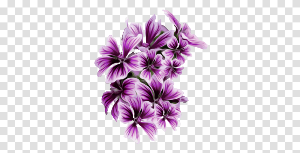 Pin Purple Flowers Hd, Geranium, Plant, Blossom, Dahlia Transparent Png