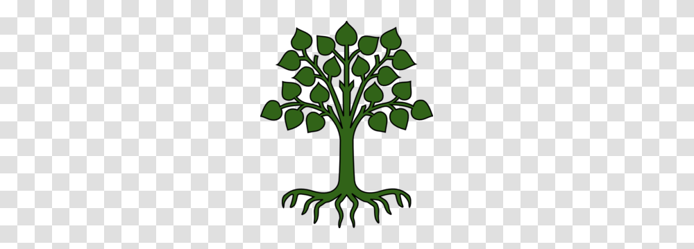 Pin The Roots On The Tree Game Cut Tree With Rootsleaves Out, Plant, Vegetable, Food, Produce Transparent Png