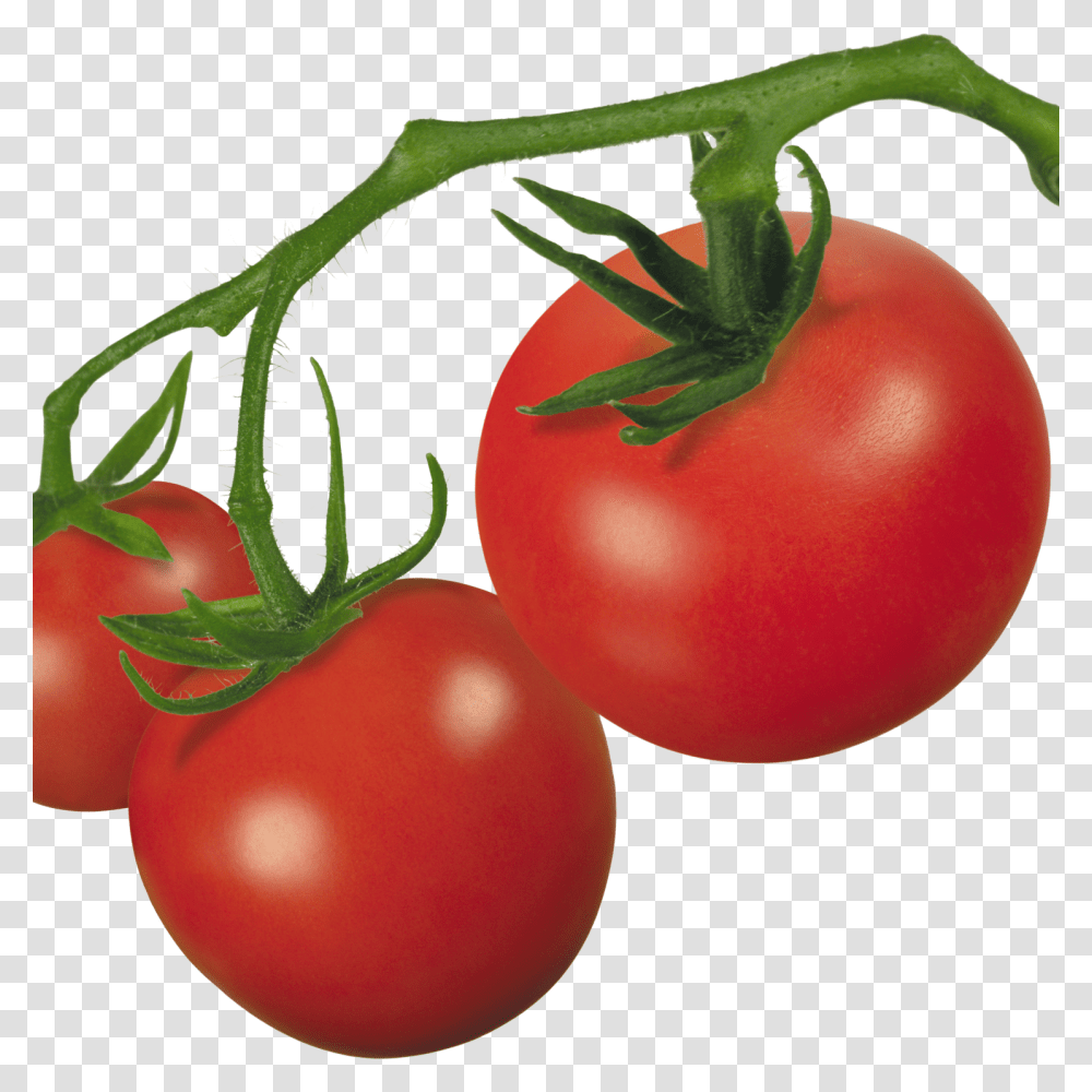 Pin Tomato Clip Art Real Background Tomato, Plant, Vegetable, Food Transparent Png