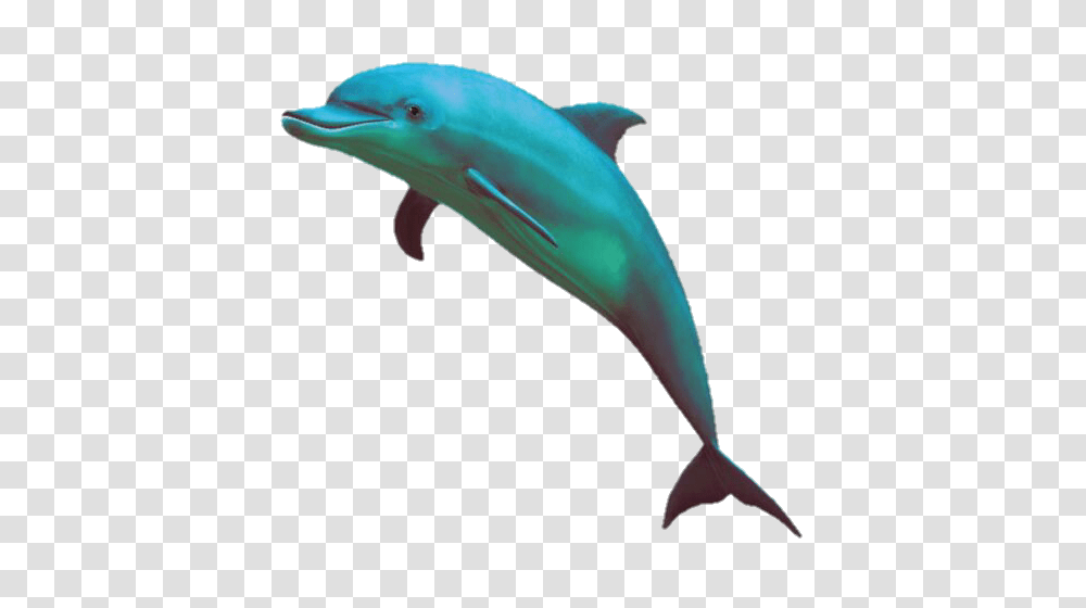 Pin Vaporwave Dolphin, Sea Life, Animal, Mammal, Bird Transparent Png