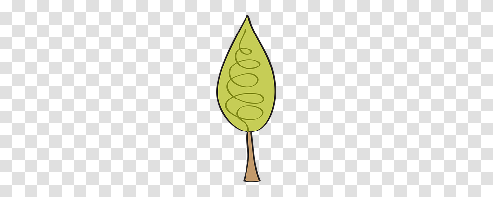 Pine Nature, Armor, Oval, Pottery Transparent Png