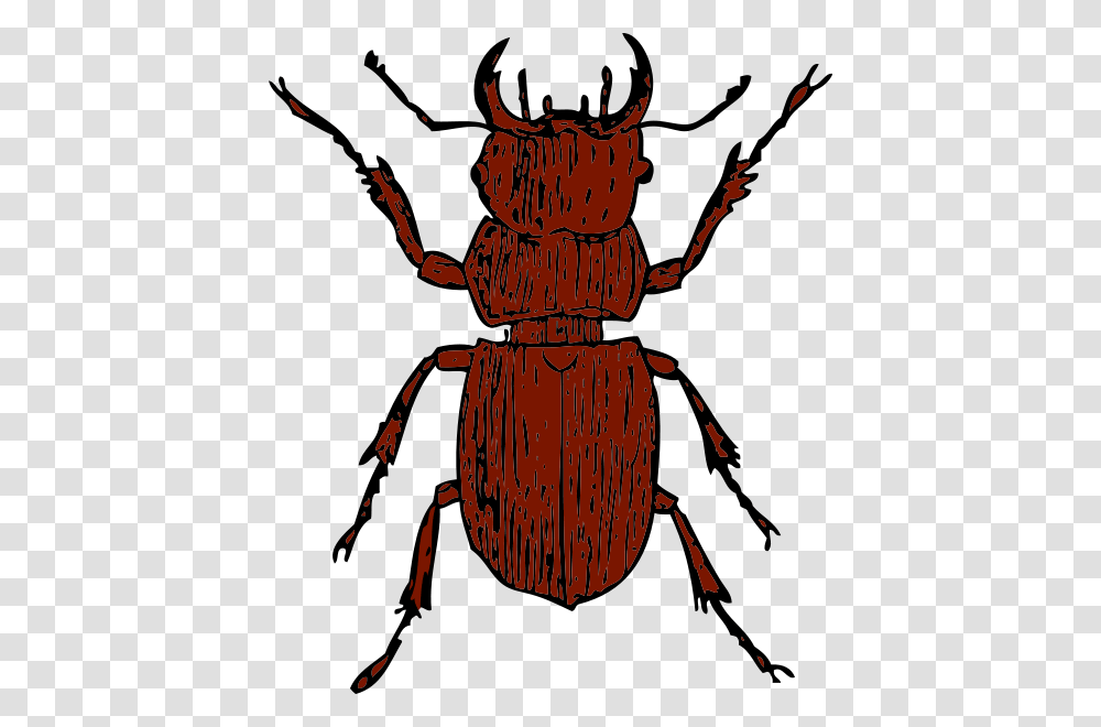 Pine Beetle Clip Arts For Web, Insect, Invertebrate, Animal, Dung Beetle Transparent Png