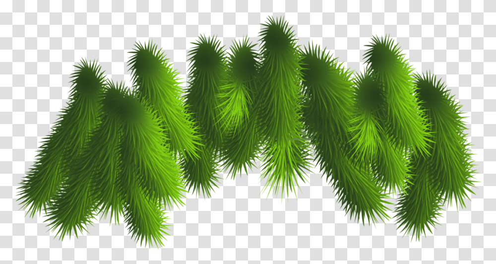 Pine Bough With Ornaments Christmas Tree Branches, Pattern, Green, Fractal, Plant Transparent Png