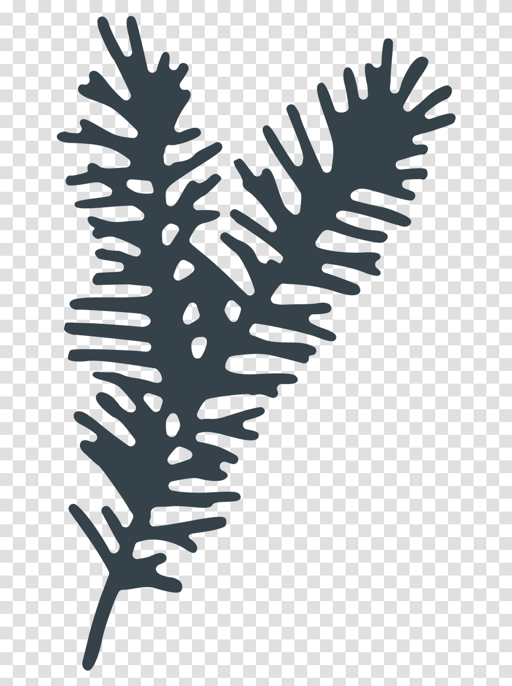 Pine Branch Svg Cut File Free Tree Branch Svg File, Plant, Fern, Ground, Architecture Transparent Png