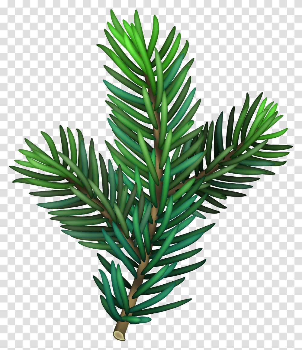 Pine Branch Transparent Png