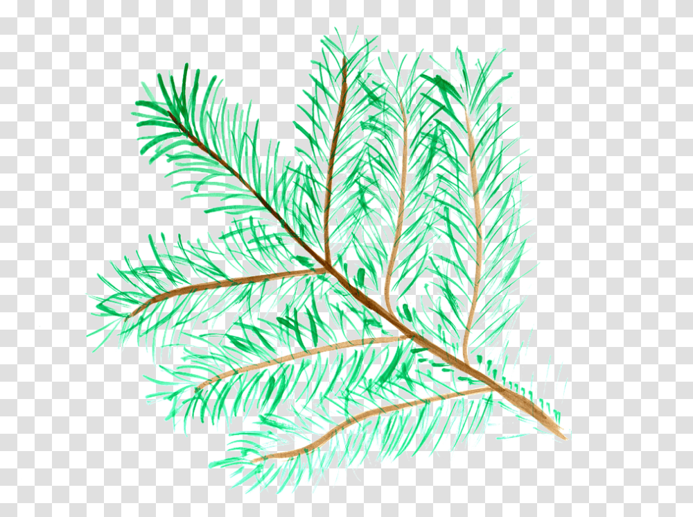 Pine Branch Watercolor Free Image On Pixabay Watercolor Painting, Leaf, Plant, Ice, Outdoors Transparent Png