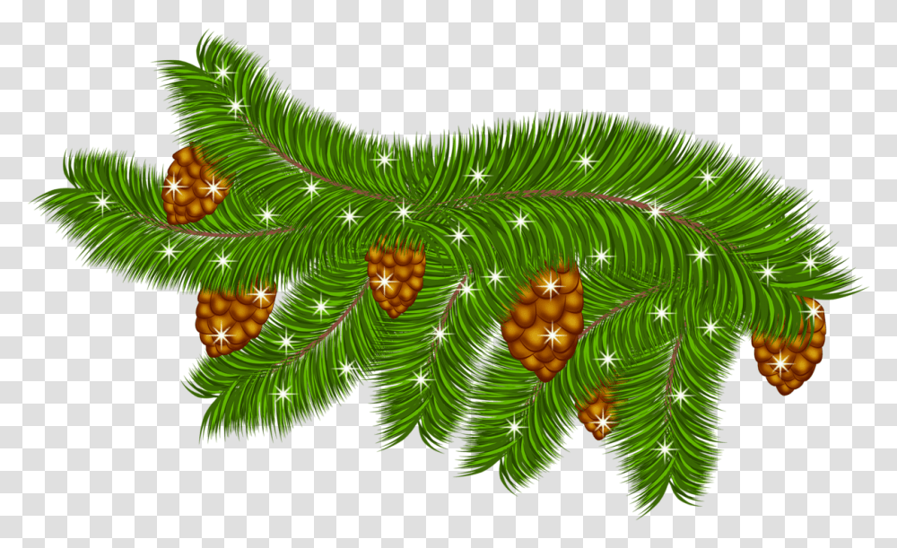 Pine Branch With Pine Cones Clipart Portable Network Graphics, Green, Pattern, Floral Design, Ornament Transparent Png