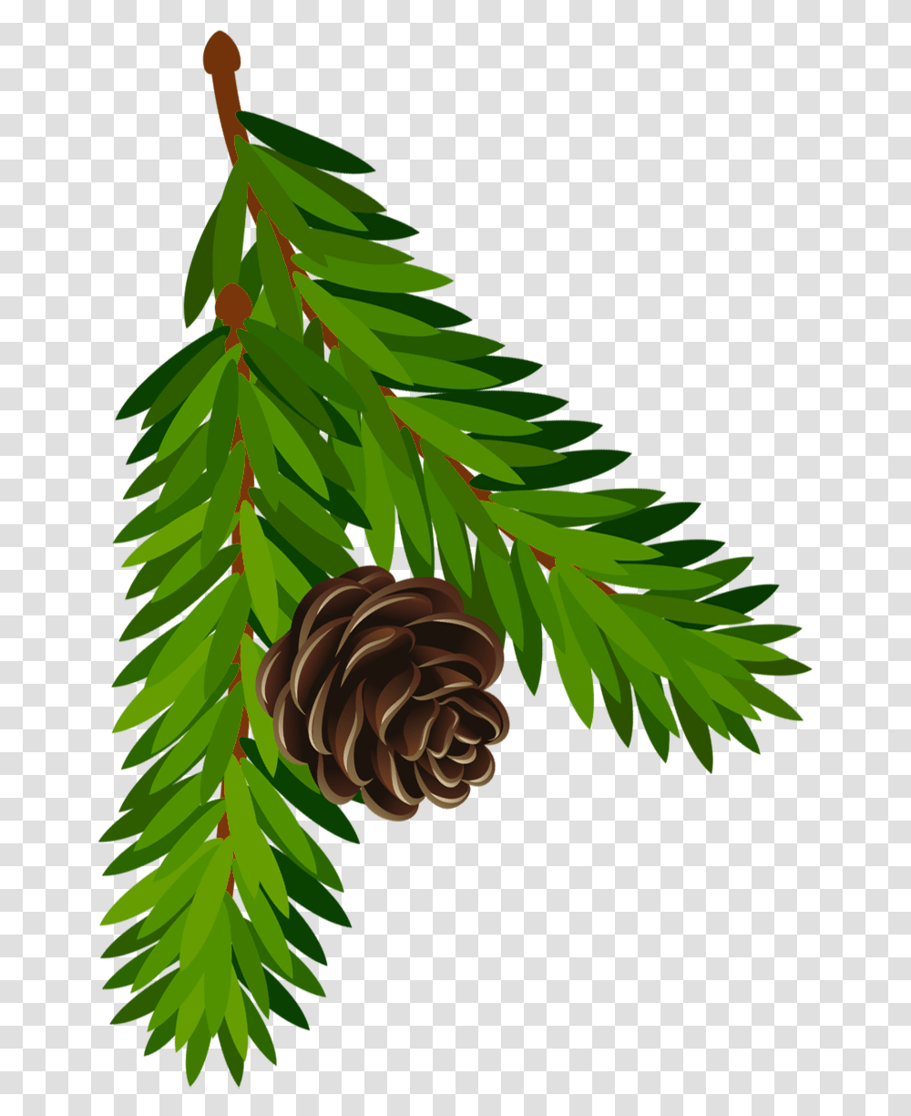 Pine Branch With Pine Gif, Tree, Plant, Conifer, Larch Transparent Png