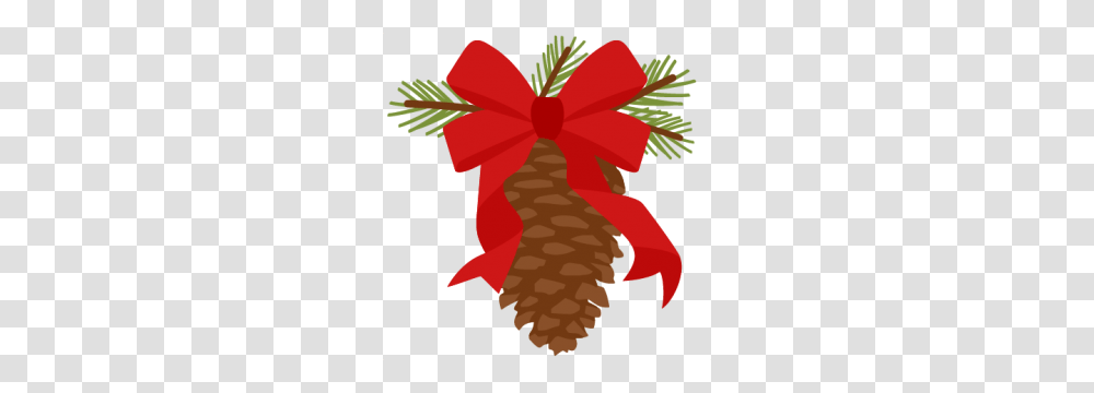 Pine Clipart, Plant, Leaf, Gift, Tree Transparent Png