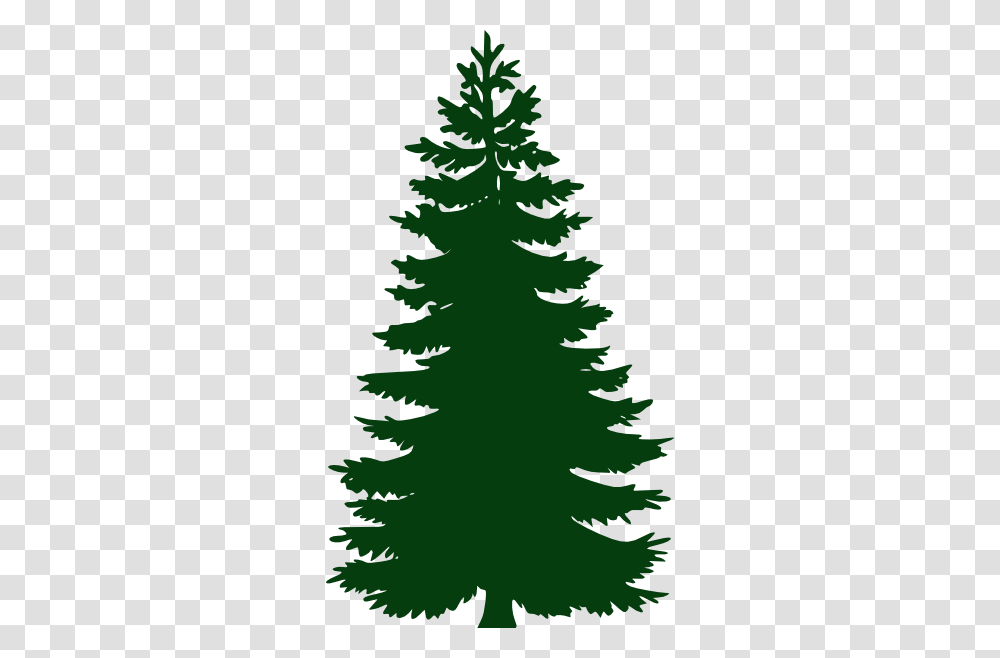 Pine Clipart, Tree, Plant, Christmas Tree, Ornament Transparent Png