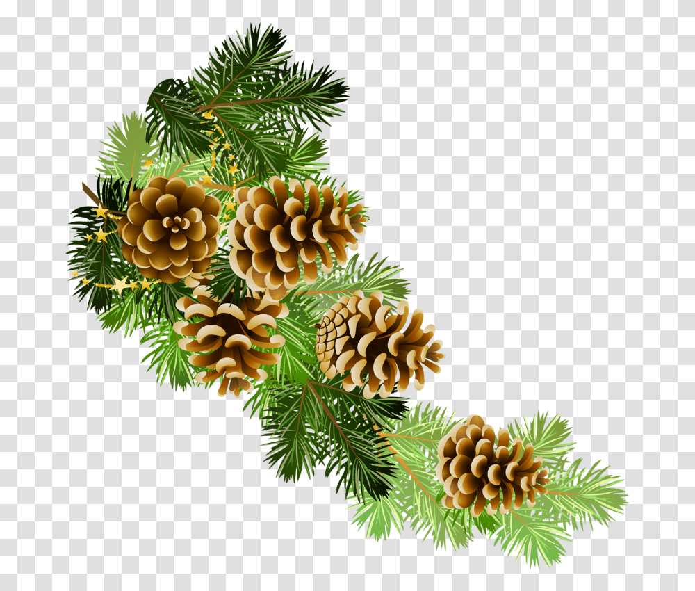 Pine Cone Border Clip Art, Tree, Plant, Conifer, Larch Transparent Png