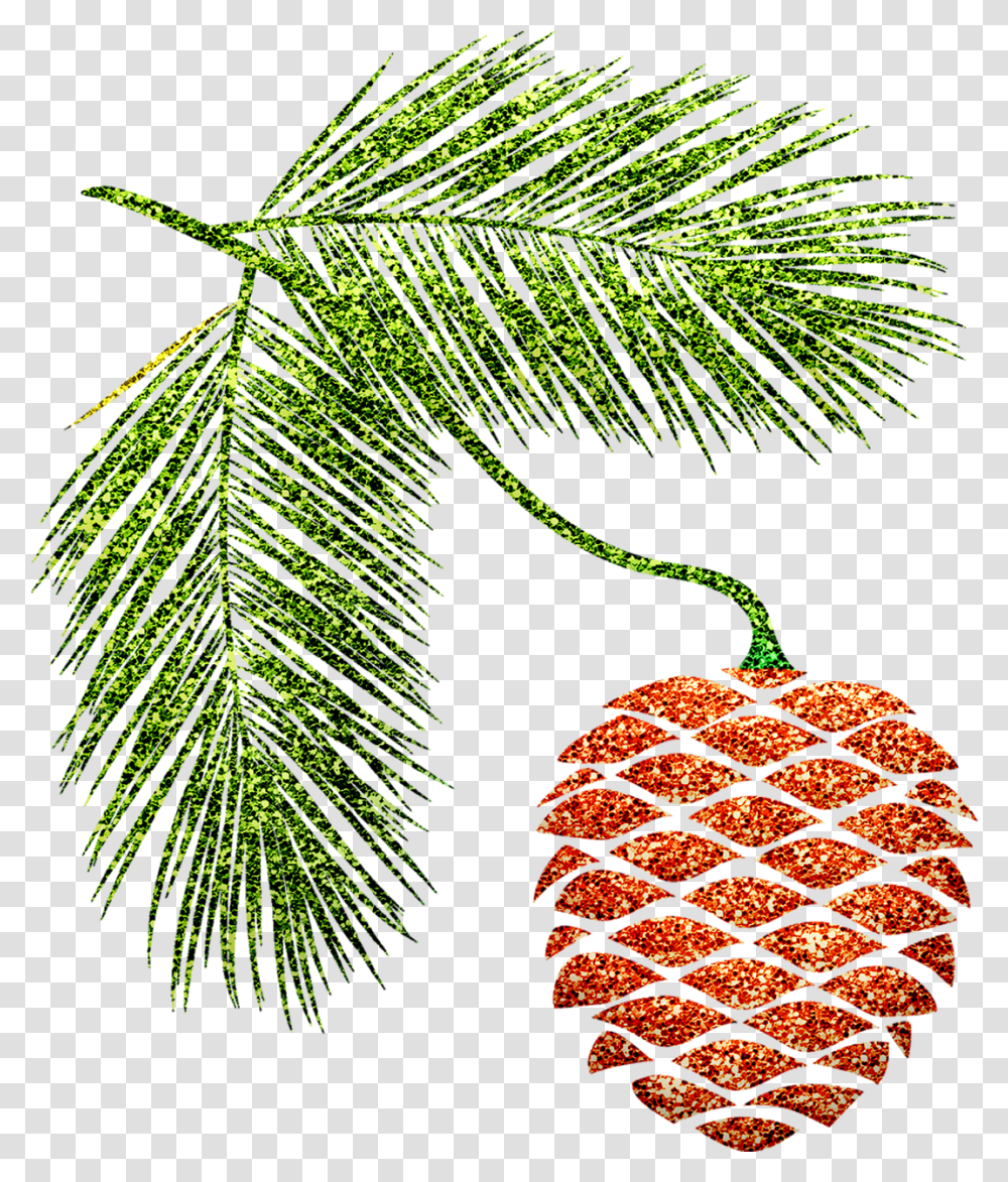 Pine Cone Branches Autumn Free Image On Pixabay Pinheiro Desenho Com Pinha, Plant, Tree, Fruit, Food Transparent Png