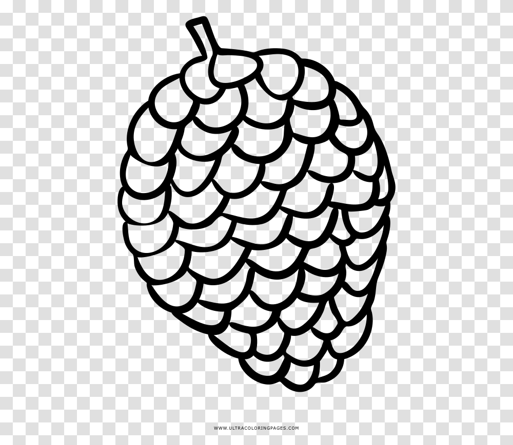 Pine Cone Coloring, Gray, World Of Warcraft Transparent Png