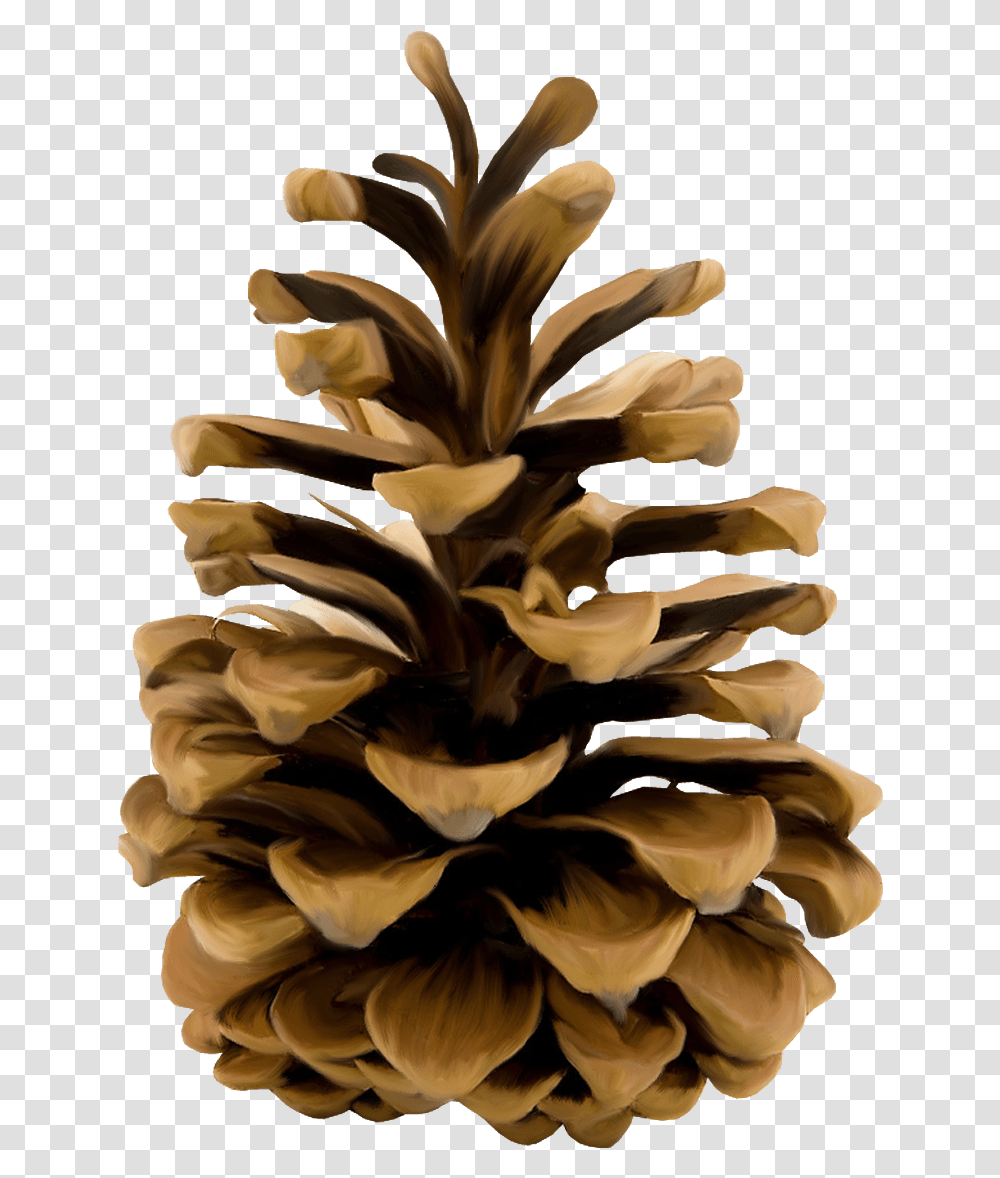 Pine Cone Illustration Stickpng Natural Image Hd, Plant, Fungus, Wood, Tree Transparent Png