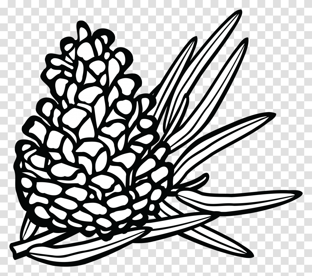 Pine Cone Line Drawing Pine Cone Clipart Conifers Clipart Black And White, Plant, Flower, Label, Text Transparent Png