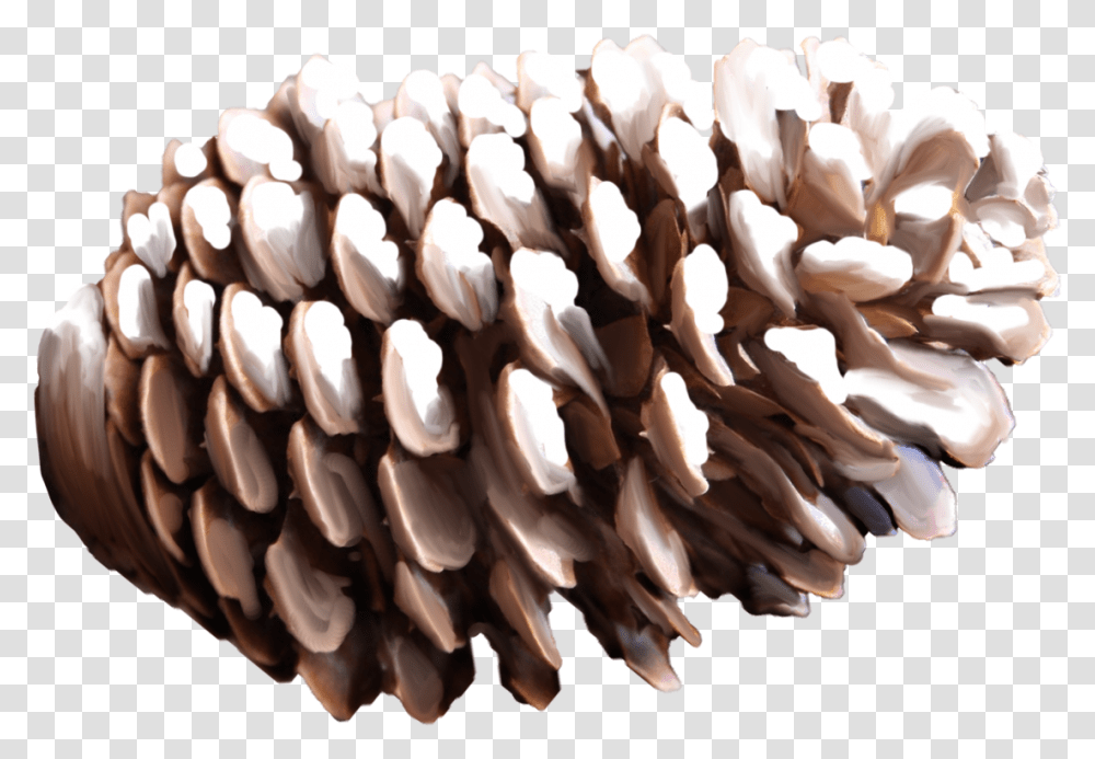 Pine Cone, Nature, Chocolate, Dessert, Food Transparent Png