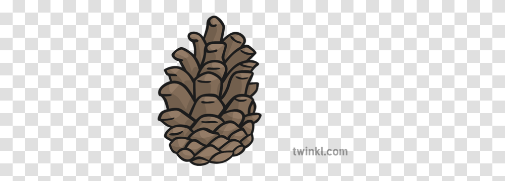 Pine Cone New Illustration Twinkl Conifer Cone, Plant, Tree, Rug, Doodle Transparent Png