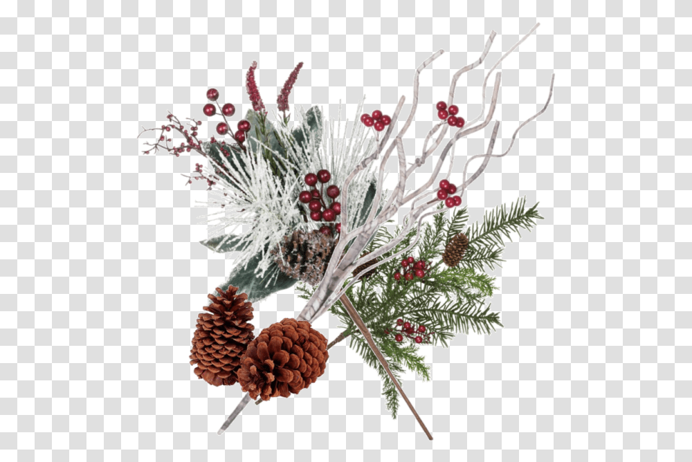 Pine Cones Winter Pine Cone Background, Plant, Tree, Flower, Blossom Transparent Png