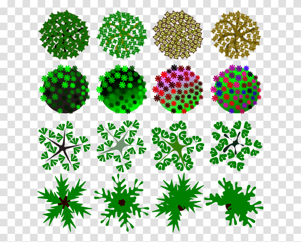 Pine Familyplantflora Morphe, Green, Light, Accessories, Accessory Transparent Png