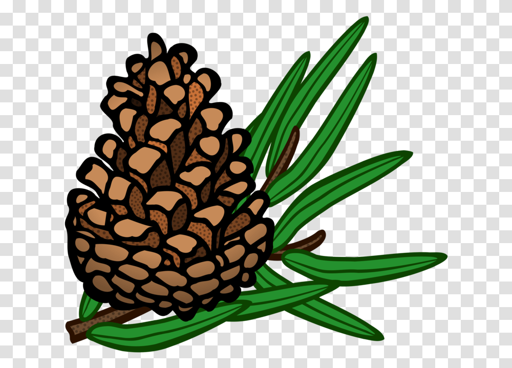 Pine Familyplantflower Pinecone Clipart, Pineapple, Fruit, Food, Tree Transparent Png