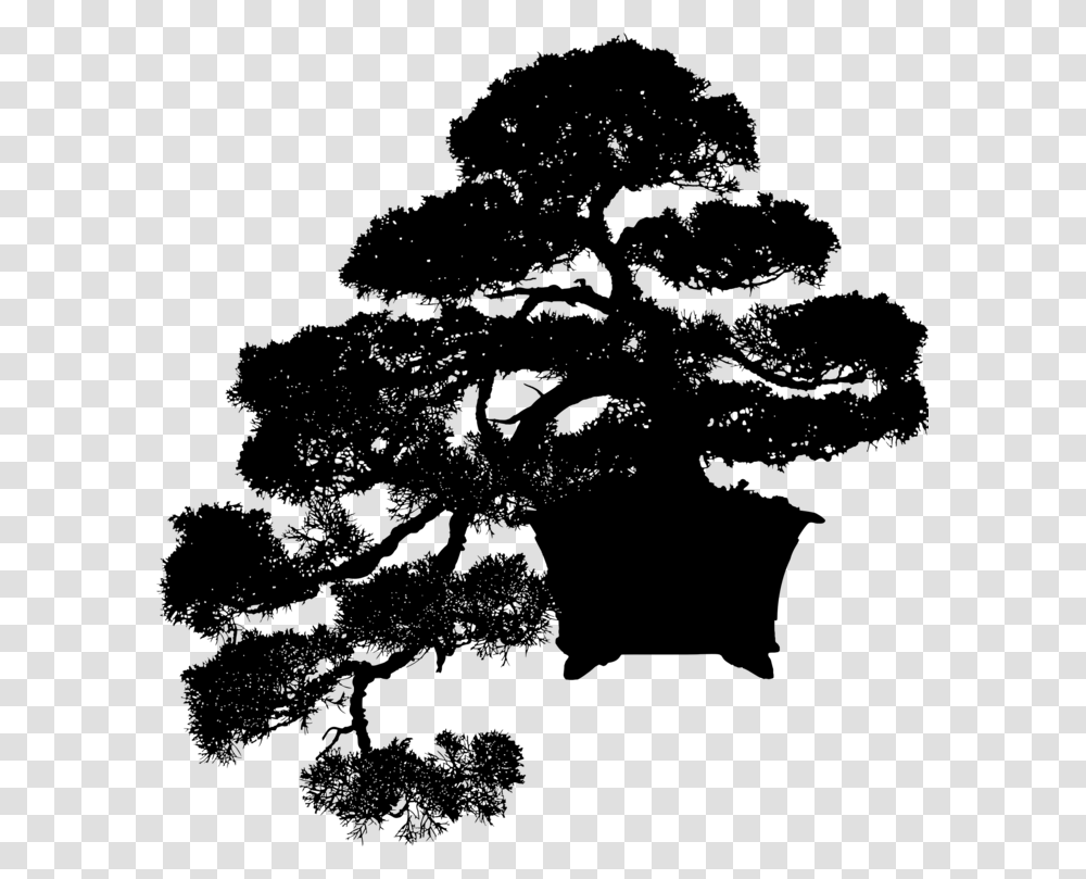 Pine Familyplantleaf Bonsai Silhouette, Gray, World Of Warcraft Transparent Png