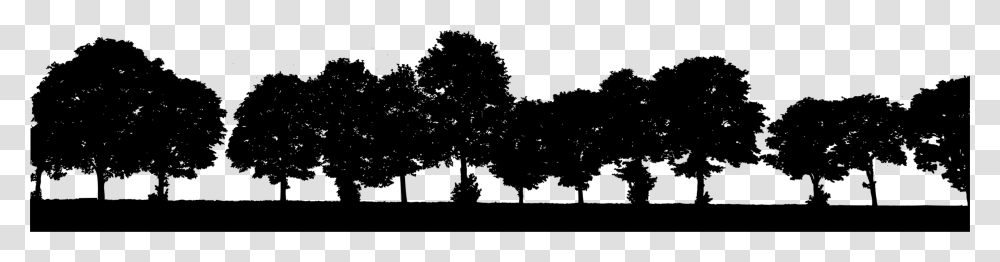 Pine Familyplantleaf Row Of Trees Silhouette Clipart, Gray, World Of Warcraft Transparent Png