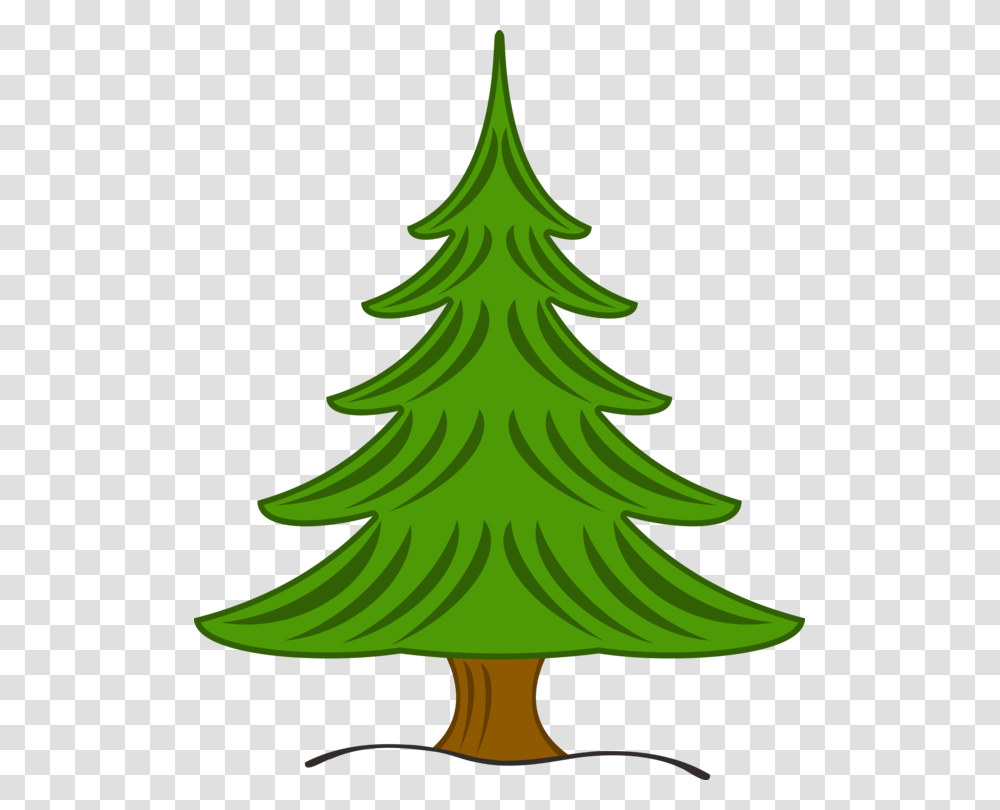 Pine Fir Christmas Tree Spruce, Plant, Ornament Transparent Png