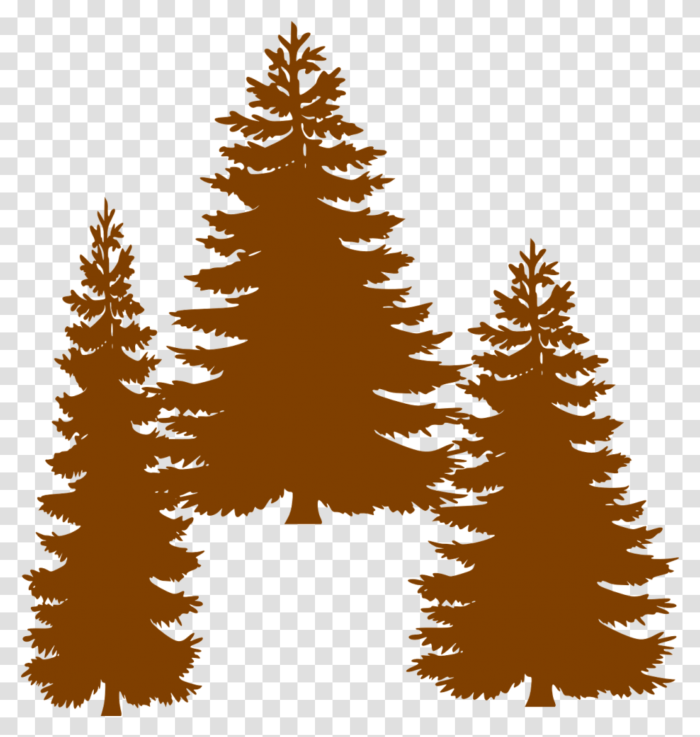 Pine Fir Tree Evergreen Clip Art Clipart Black Pine Tree, Plant, Abies, Conifer, Christmas Tree Transparent Png