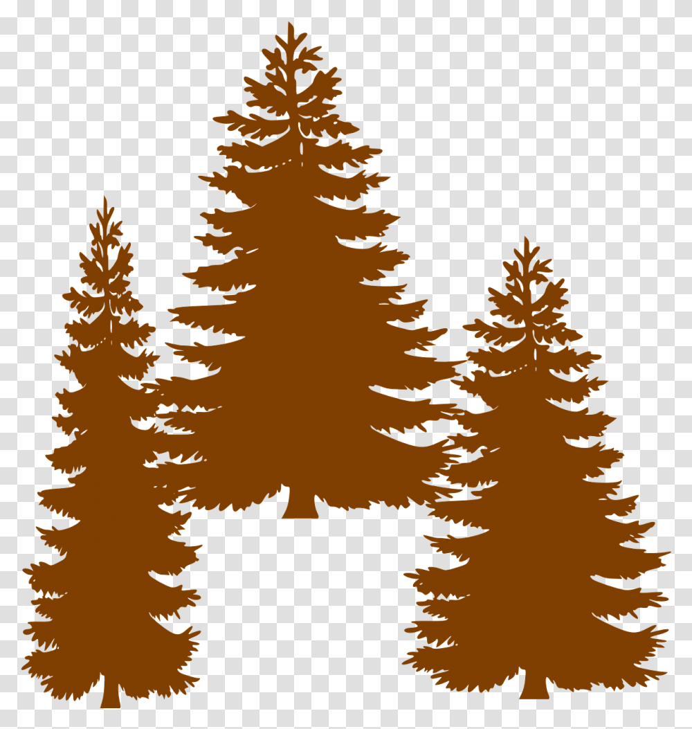 Pine Fir Tree Evergreen Clip Art Tall Pine Tree Silhouette Pine Line Tree Silhouette, Plant, Abies, Conifer, Spruce Transparent Png