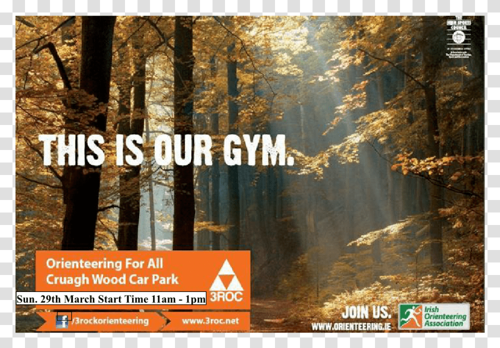 Pine Forest Poster This Is Our Gym 06mar2015 Woods Autumn, Vegetation, Plant, Woodland, Tree Transparent Png