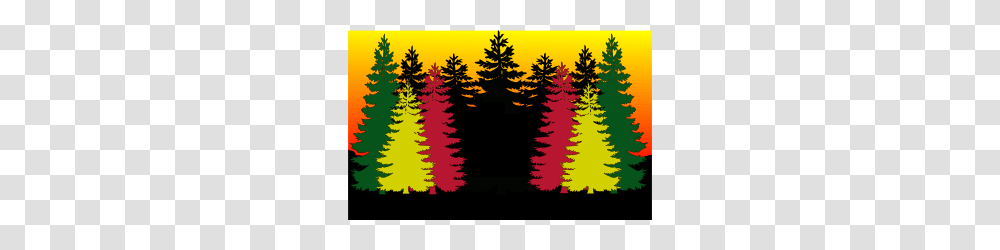 Pine Forest Sunset Clip Art, Tree, Plant, Ornament, Fir Transparent Png