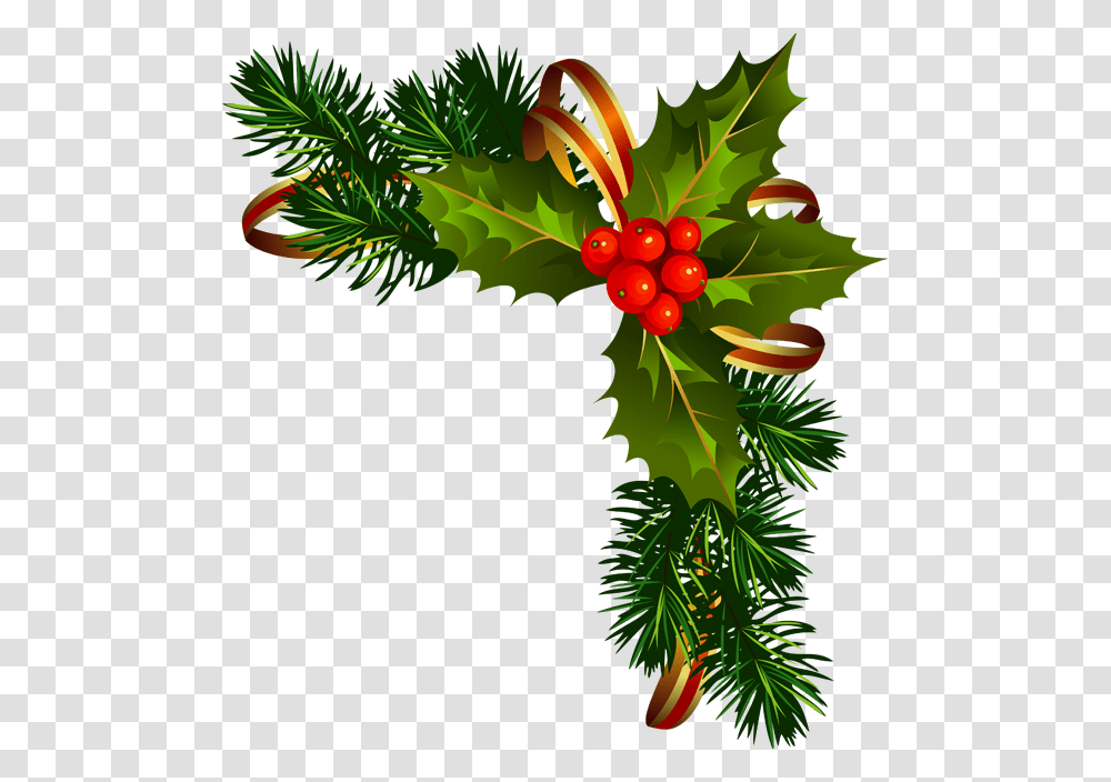 Pine Garland Clipart American Holly, Plant, Tree, Conifer, Yew Transparent Png