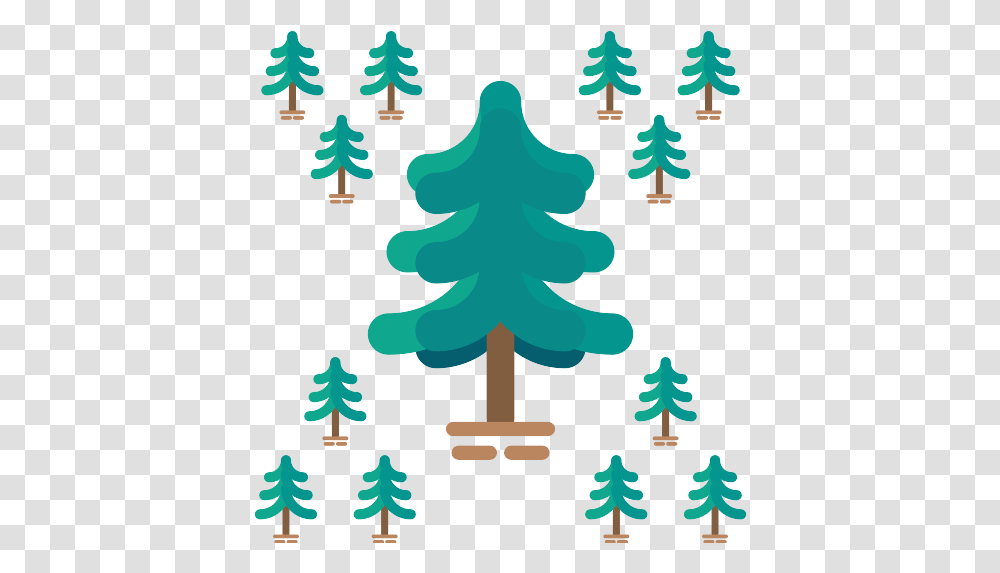 Pine Icon Christmas Tree, Plant, Ornament, Fir, Abies Transparent Png