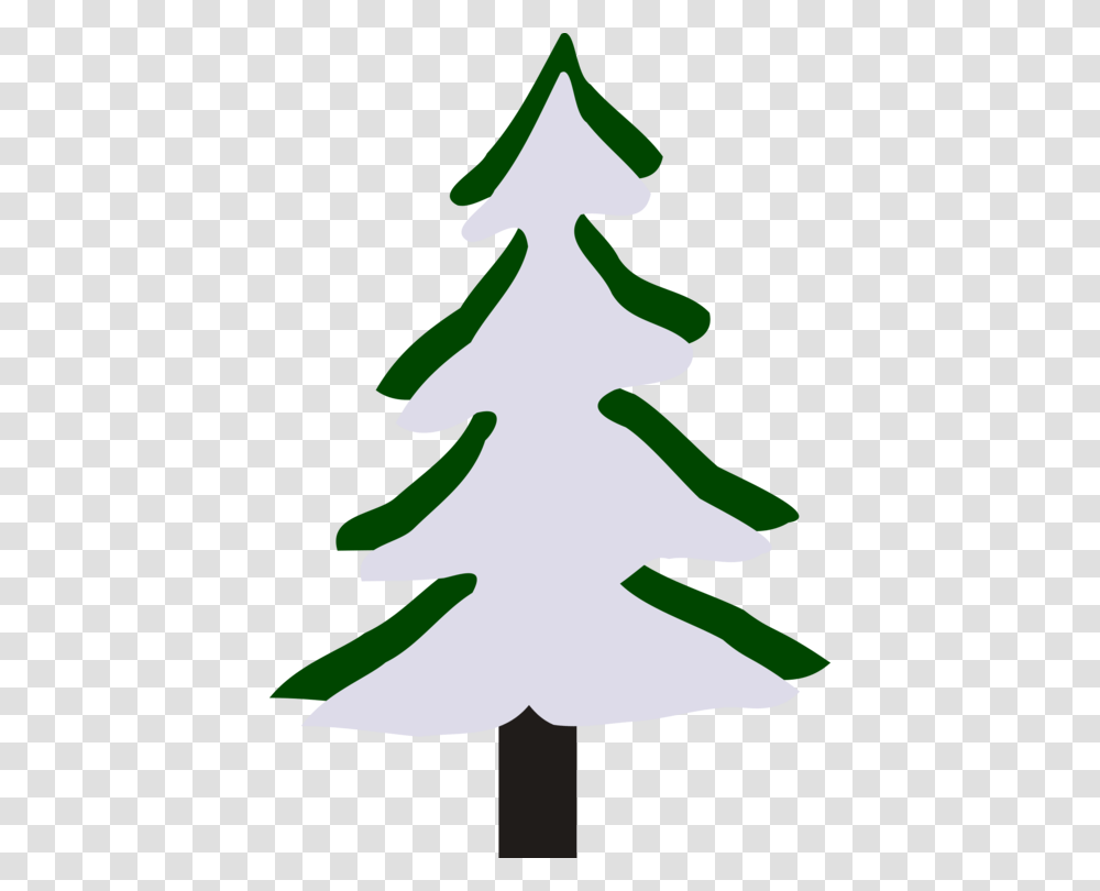 Pine New World Warblers Fir Tree Winter, Plant, Ornament, Abies, Star Symbol Transparent Png